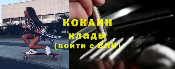 тгк Володарск