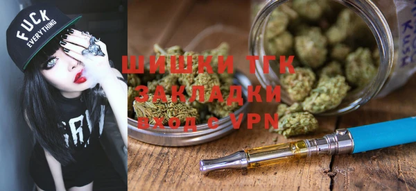 тгк Володарск