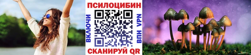 где купить наркоту  Тамбов  Галлюциногенные грибы прущие грибы 