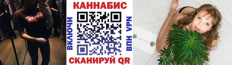 Бошки марихуана THC 21%  shop телеграм  Тамбов  дарнет шоп 